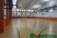 帶你鑒別不同樹(shù)種做成的運(yùn)動(dòng)木地板